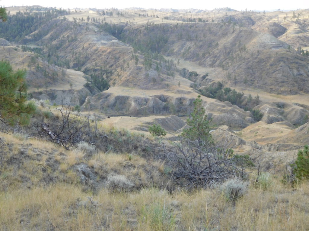 View of Missouri Breaks